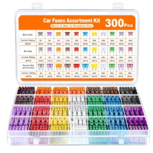 300pcs Automotive Fuses
